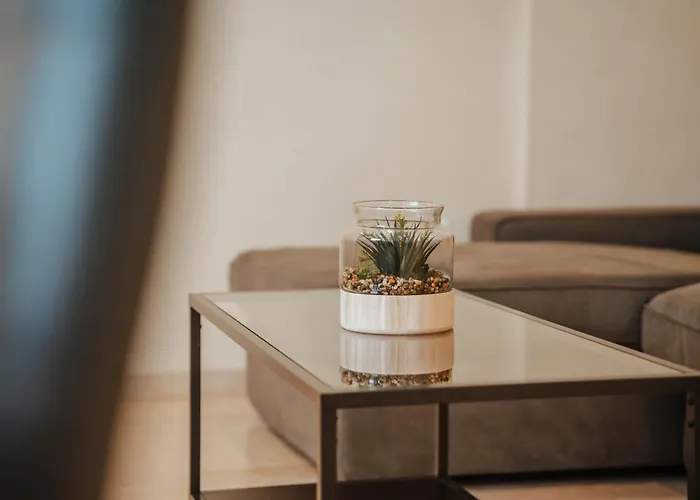 Gran Apartamento De 3 Habitaciones Junto A La Catedral